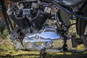 Perera ironhead chopper 13