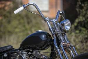 Perera ironhead chopper 9